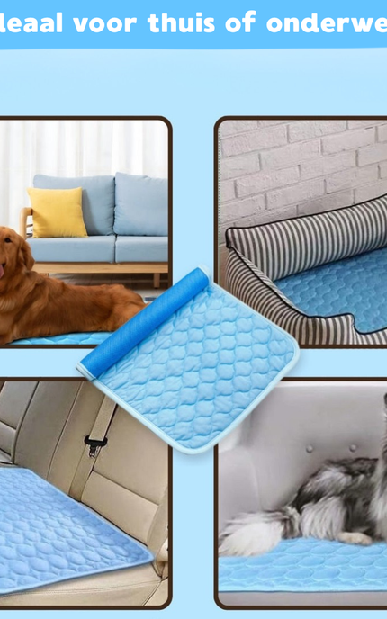 FrostPaws™  Koelmat