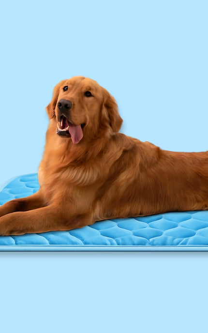 FrostPaws™  Koelmat