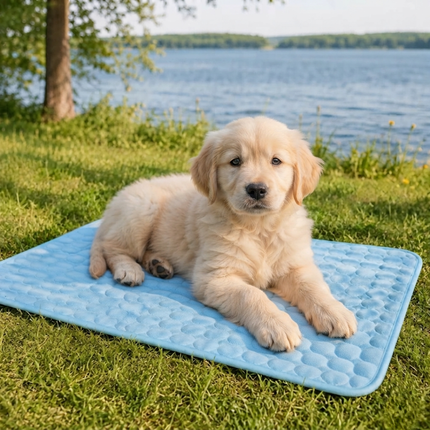 FrostPaws™  Koelmat